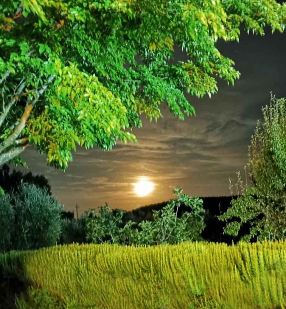 Casa Tonino Villa Pisticci Eksteriør billede